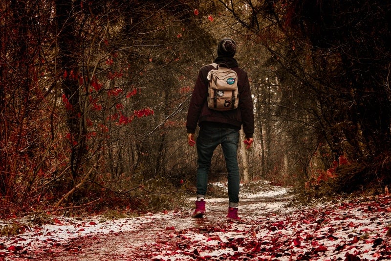 person som bär brun ryggsäck mitt i skogen