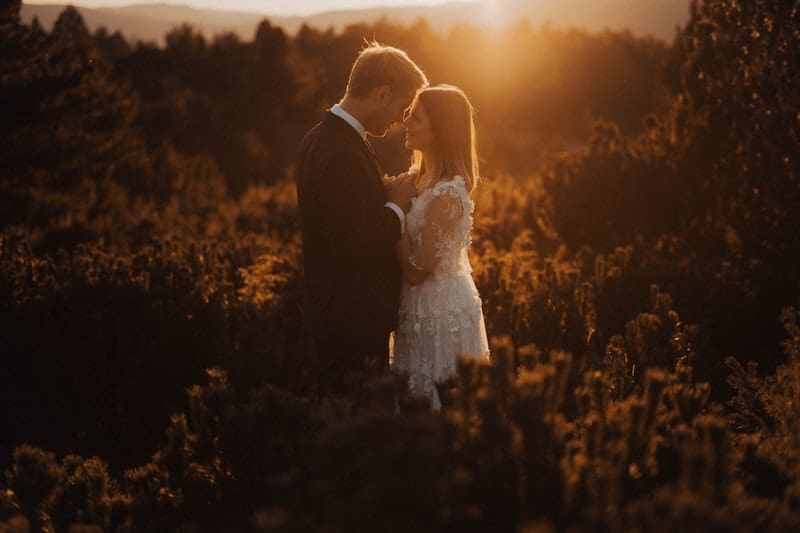 par som kysser i högt gräs vid solnedgången