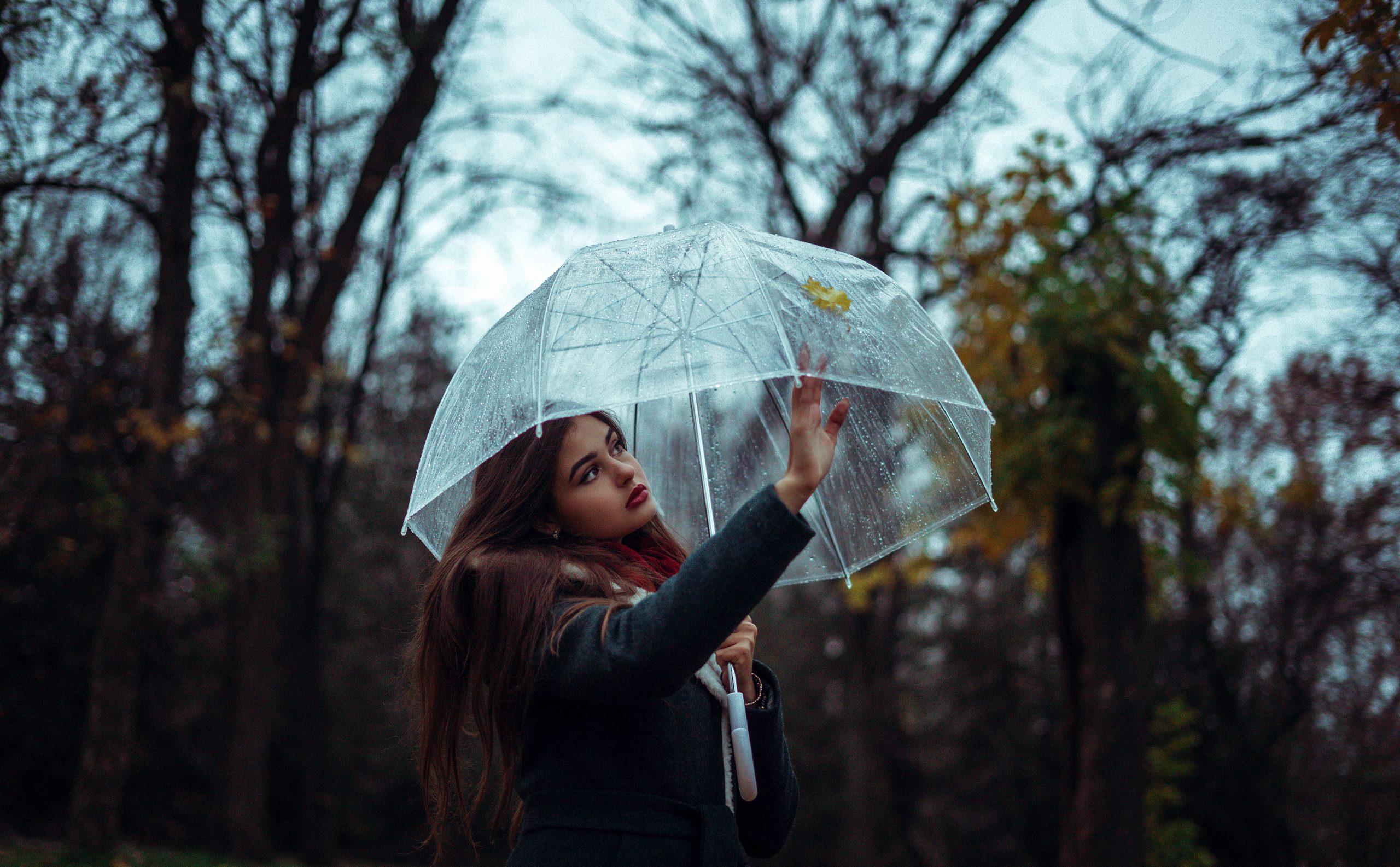 kvinna med klart paraply står i skogen