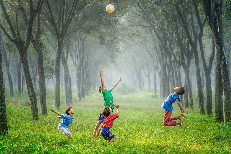 pojkar i naturen spelar boll