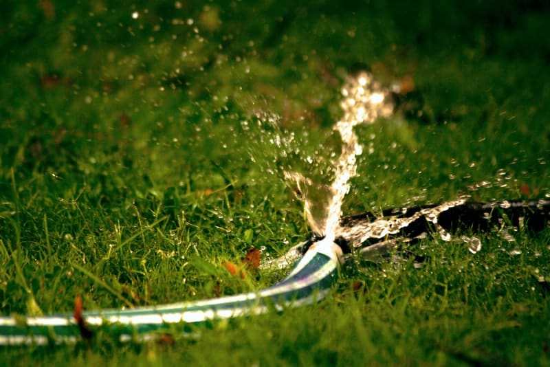 vattnet rinner från vattenslangen på gräset