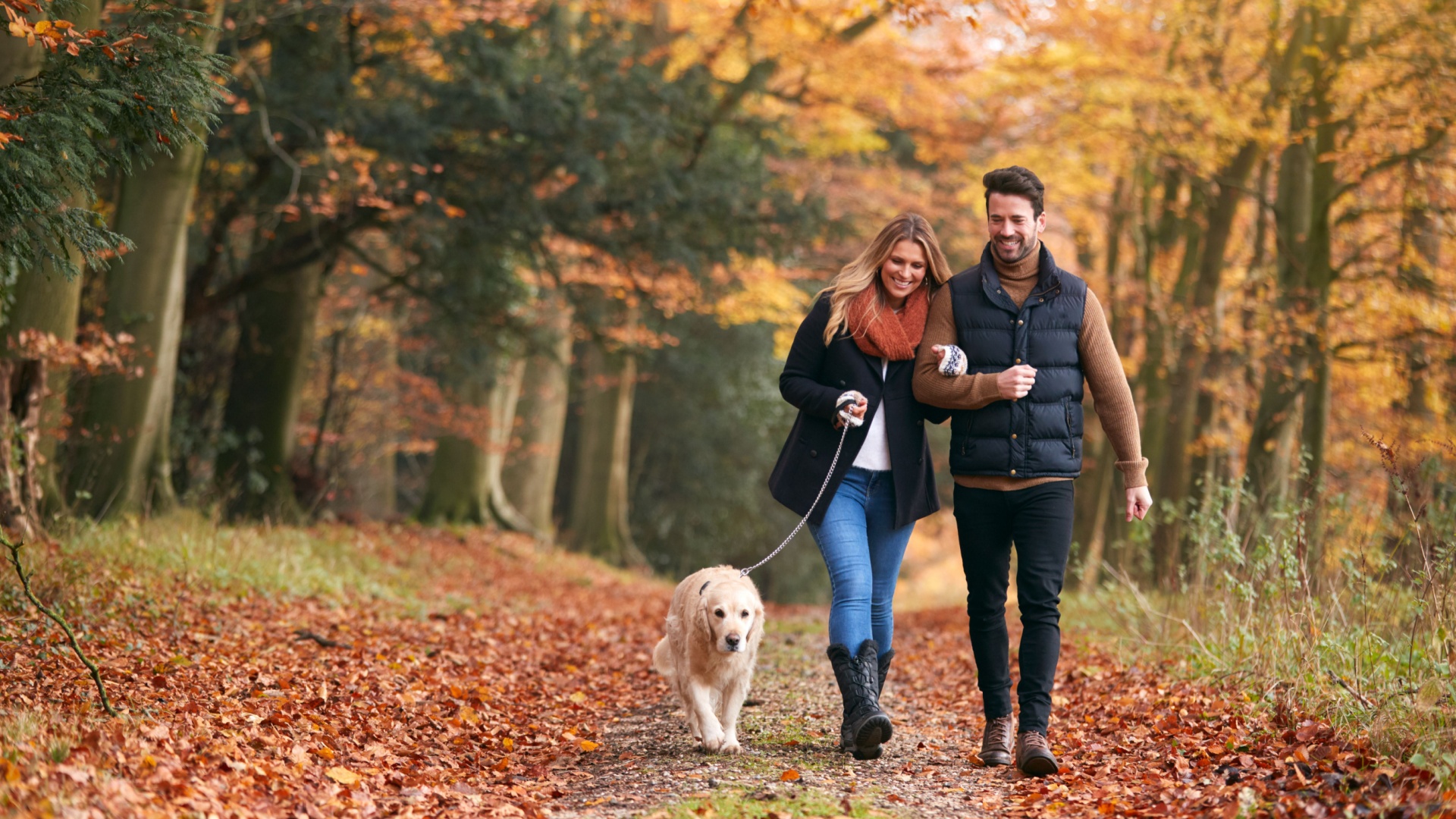 par gaer en hund