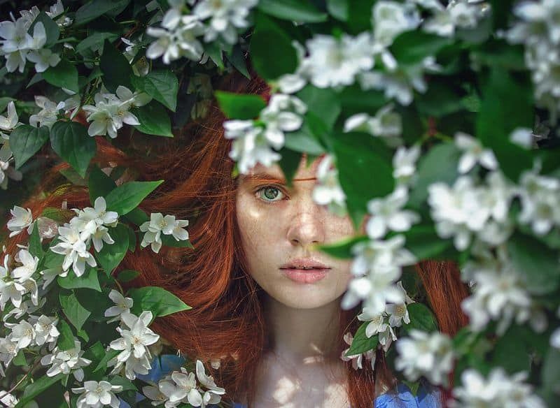 Pisces' Dreamy Enchantment Pisces' Dreamy Enchantment
