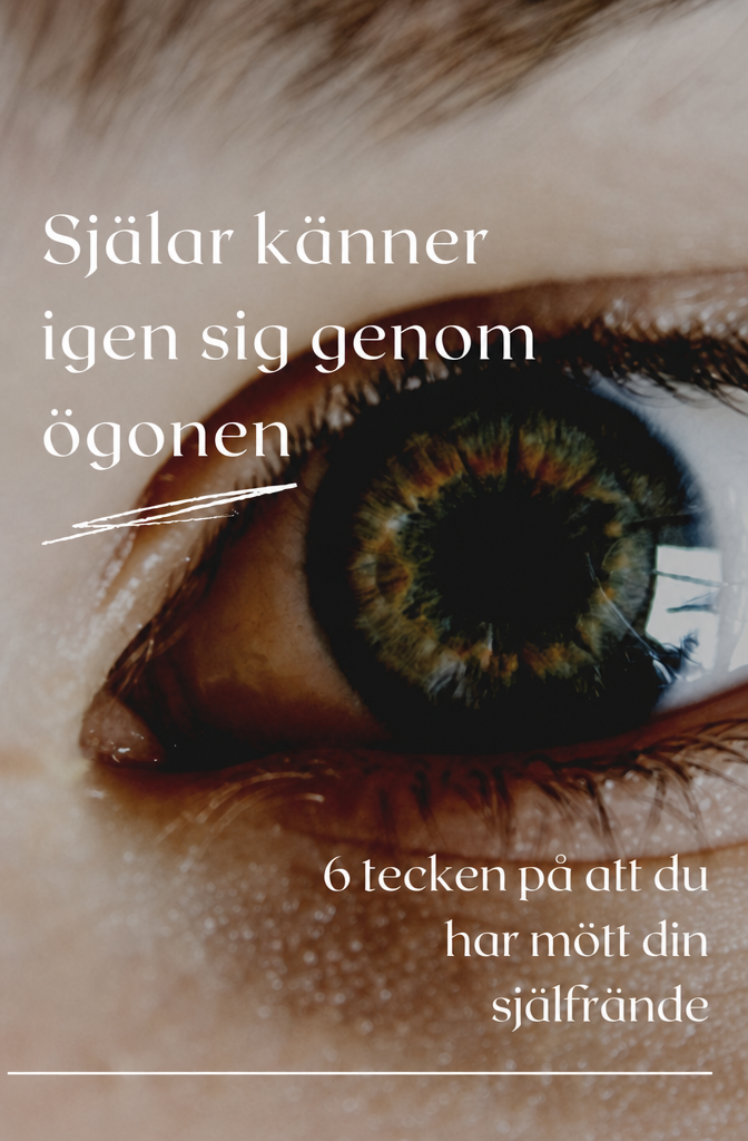 Seelenverwandte erkennen sich an den Augen