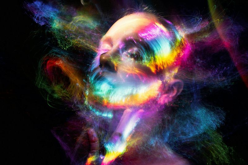 The Chameleon Effect The Chameleon Effect