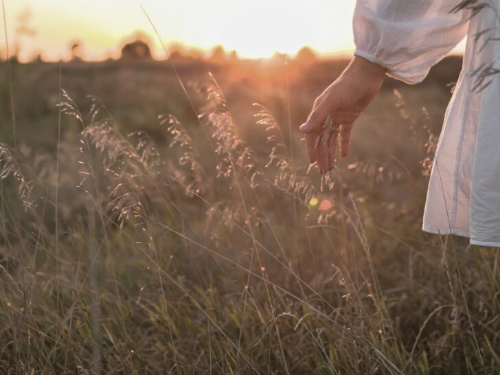 De här stjärntecknen löser ett gammalt problem 26 oktober–1 november 2026
