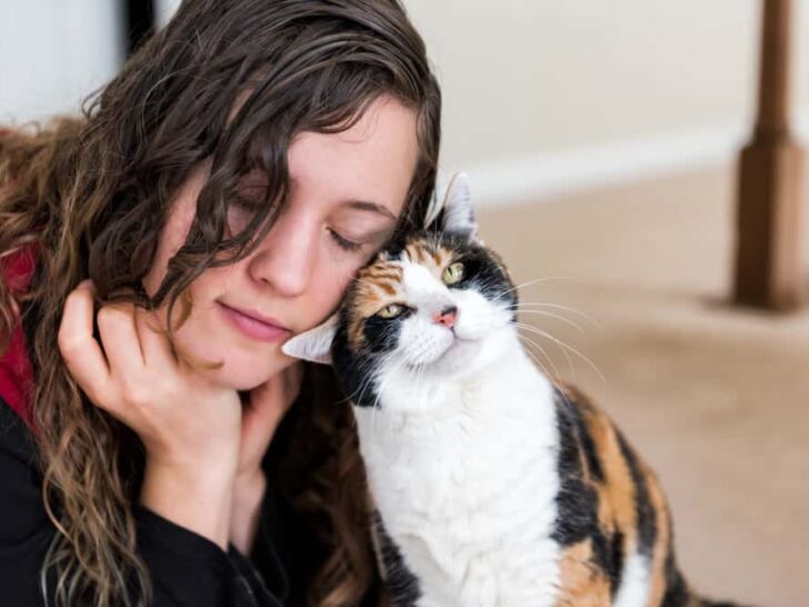 10 tecken på att katter känner sig extra trygga med dig